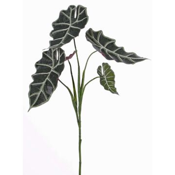 Plastová alocasia sanderiana MATHEA na zápichu, zeleno-bílá, 75cm Plastová alocasia sanderiana MATHEA na zápichu, zeleno-bílá, 75cm