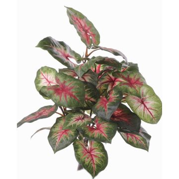 Umělé caladium SEVERIN na zápichu, zeleno-červené, 40cm