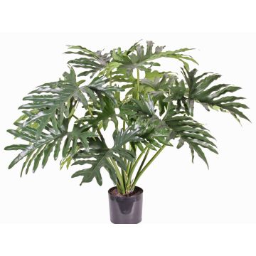 Umělý filodendron selloum SILAS, 80cm Umělý filodendron selloum SILAS, 80cm