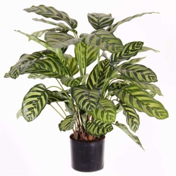 Umělá Calathea Makoyana GODE, zelenožlutá, 65cm Umělá Calathea Makoyana GODE, zelenožlutá, 65cm