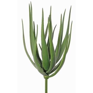 Umělá aloe vera LAURENA, zelená, tyč, 65cm, Ø25cm Umělá aloe vera LAURENA, zelená, tyč, 65cm, Ø25cm