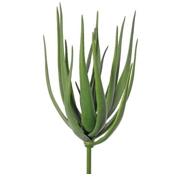 Umělá aloe vera LAURENA, zelená, tyč, 65cm, Ø25cm Umělá aloe vera LAURENA, zelená, tyč, 65cm, Ø25cm