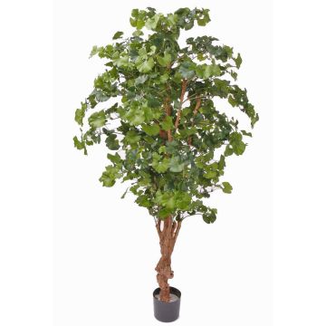 Umělé Ginkgo CAI, přírodní kmen, 180cm Umělé Ginkgo CAI, přírodní kmen, 180cm