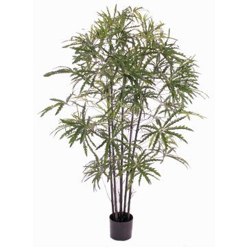 Umělá Aralia CARLIE, umělé kufry, zelená, 150cm Umělá Aralia CARLIE, umělé kufry, zelená, 150cm