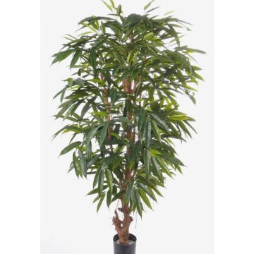 Umělá longifolia MARLIT, přírodní kmen, 180cm Umělá longifolia MARLIT, přírodní kmen, 180cm