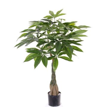 Art Pachira CASSIAN, umělecký kufr, 90 cm Art Pachira CASSIAN, umělecký kufr, 90 cm