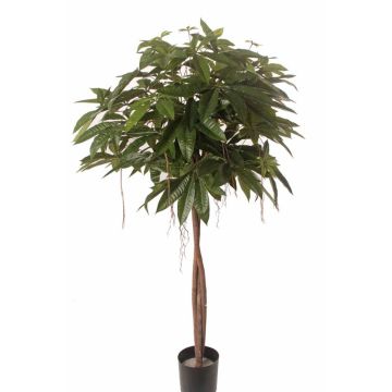 Art Pachira CASSY, přírodní kufry, 150 cm Art Pachira CASSY, přírodní kufry, 150 cm