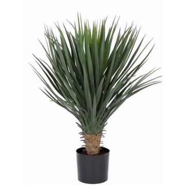 Umělá rostlina Yucca rostrata palma DRAKE, 80cm