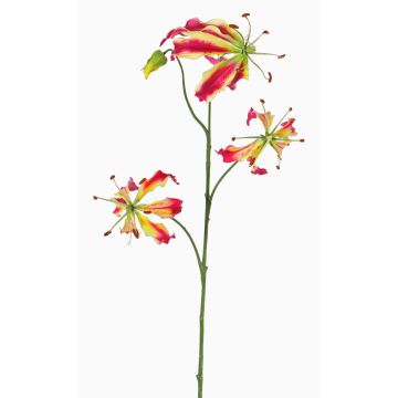 Umělá glorióza TIANA, fuchsiovo-žlutá, 85cm, Ø9-10cm Umělá glorióza TIANA, fuchsiovo-žlutá, 85cm, Ø9-10cm