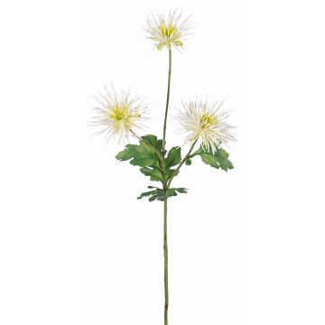 Umělá chryzantéma SOLVIE, bílo-žlutá, 75cm, Ø11-12cm Umělá chryzantéma SOLVIE, bílo-žlutá, 75cm, Ø11-12cm