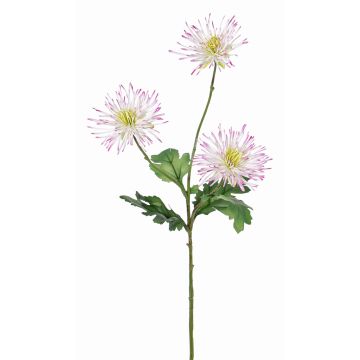 Umělá chryzantéma SOLVIE, bílo-růžová, 75cm, Ø11-12cm