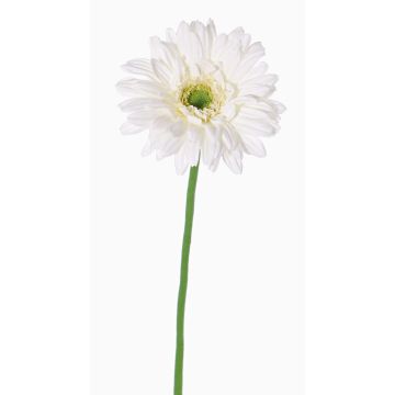 Textilní gerbera HELLI, krémová, 65cm, Ø12cm Textilní gerbera HELLI, krémová, 65cm, Ø12cm