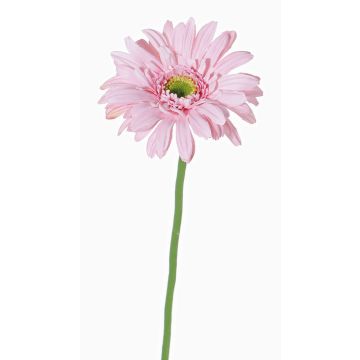 Textilní gerbera HELLI, růžová, 65cm, Ø12cm Textilní gerbera HELLI, růžová, 65cm, Ø12cm
