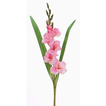 Art mečík ELEA, růžový, 80cm, Ø7-9cm Art mečík ELEA, růžový, 80cm, Ø7-9cm