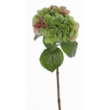 Plastová hortenzie CHIDORI, zeleno-růžová, 60cm, Ø18cm Plastová hortenzie CHIDORI, zeleno-růžová, 60cm, Ø18cm