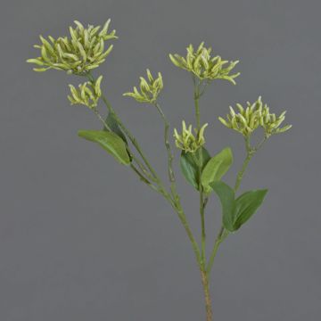 Umělá větev dřínu JOSIA s pupeny, bílozelená, 50cm Umělá větev dřínu JOSIA s pupeny, bílozelená, 50cm