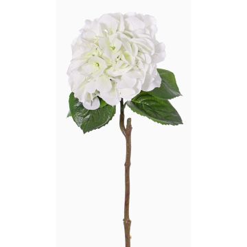 Plastová hortenzie CHIDORI, bílozelená, 60cm, Ø18cm Plastová hortenzie CHIDORI, bílozelená, 60cm, Ø18cm