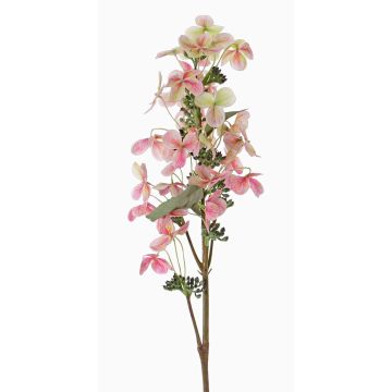 Umělá hortenzie Paniculata CHADORA, fuchsiovo-zelená, 70cm, Ø12cm Umělá hortenzie Paniculata CHADORA, fuchsiovo-zelená, 70cm, Ø12cm