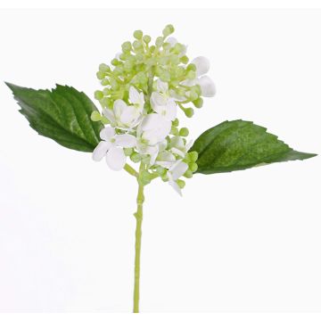 Umělá hortenzie CHABY, bílozelená, 30cm, Ø9cm