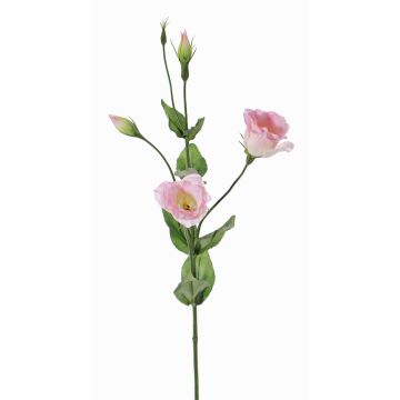 Umělý Lisianthus JUDIKA, růžovo-bílo-zelený, 70cm, Ø6-7cm