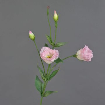 Umělý Lisianthus JUDIKA, růžový, 70cm, Ø5cm Umělý Lisianthus JUDIKA, růžový, 70cm, Ø5cm