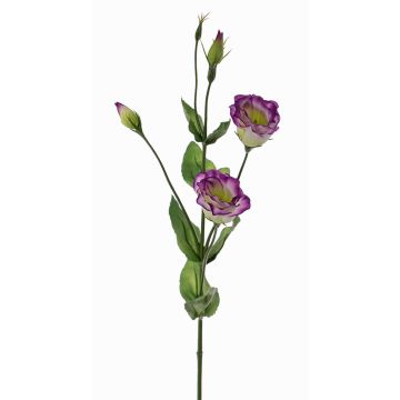 Umělý Lisianthus JUDIKA, fialovozelený, fialovo-bílo-zelený, 70cm, Ø6-7cm
