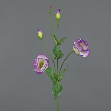 Umělý Lisianthus JUDIKA, fialovozelený, 70cm, Ø5cm Umělý Lisianthus JUDIKA, fialovozelený, 70cm, Ø5cm