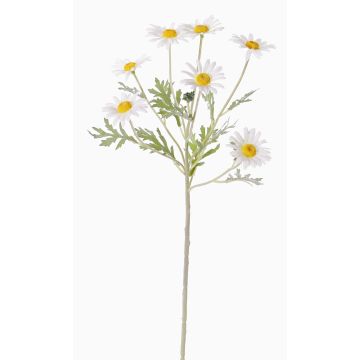 Umělá kopretina LEONIA, bílá, 60cm, Ø6cm Umělá kopretina LEONIA, bílá, 60cm, Ø6cm