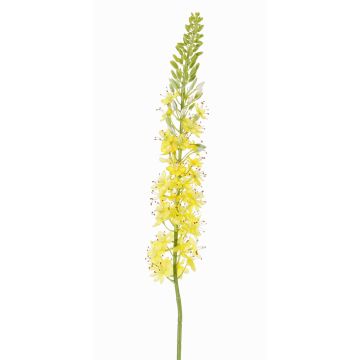 Umělý liliochvostec SELINA, žluto-oranžová, 105cm, Ø9cm Umělý liliochvostec SELINA, žluto-oranžová, 105cm, Ø9cm