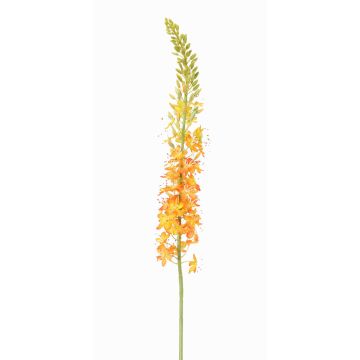Umělý liliochvostec SELINA, oranžová, 105cm, Ø9cm Umělý liliochvostec SELINA, oranžová, 105cm, Ø9cm