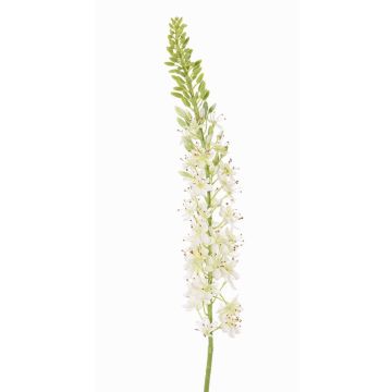 Umělý liliochvostec SELINA, bílá, 105cm, Ø9cm Umělý liliochvostec SELINA, bílá, 105cm, Ø9cm