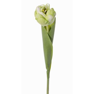 Umělý tulipán ROMANA, zelenobílý, 45cm, Ø6cm