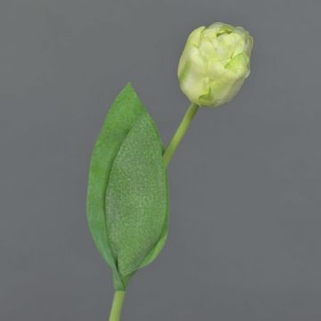 Umělý tulipán ROMANA, zelenobílý, 45cm, Ø6cm