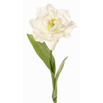 Umělý papouščí tulipán STEFANIE, bílo-zelený, 65cm, Ø14cm Umělý papouščí tulipán STEFANIE, bílo-zelený, 65cm, Ø14cm