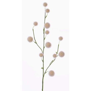 Umělá okrasná cibule EMRAH, krémová, 80cm, Ø3-4,5cm Umělá okrasná cibule EMRAH, krémová, 80cm, Ø3-4,5cm