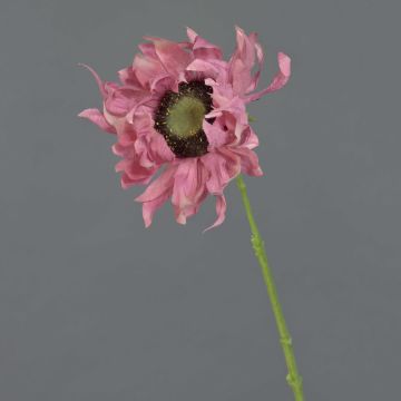 Textilní slunečnice JANIKA, tmavě růžová, 60cm, Ø12cm Textilní slunečnice JANIKA, tmavě růžová, 60cm, Ø12cm