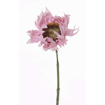 Textilní slunečnice JANIKA, jemně růžová, 60cm, Ø13cm Textilní slunečnice JANIKA, jemně růžová, 60cm, Ø13cm