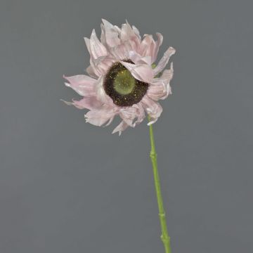 Textilní slunečnice JANIKA, růžová, 60cm, Ø12cm Textilní slunečnice JANIKA, růžová, 60cm, Ø12cm