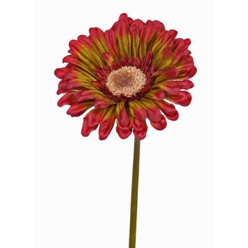 Umělá gerbera ANNEMARIE, červeno-zelená, 50cm, Ø10cm Umělá gerbera ANNEMARIE, červeno-zelená, 50cm, Ø10cm