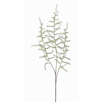 Umělá větev Asparagus acutifolius JOCHEN, zelená, 70cm Umělá větev Asparagus acutifolius JOCHEN, zelená, 70cm