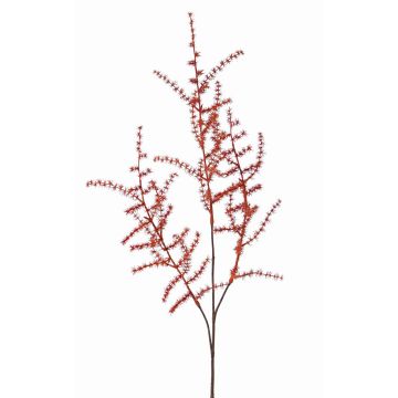 Umělá větev Asparagus acutifolius HANS, oranžová, 70cm