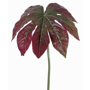 Umělecká plachta Aralia IMANA, červeno-zelená, 80cm Umělecká plachta Aralia IMANA, červeno-zelená, 80cm