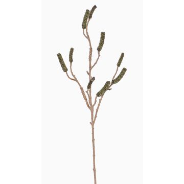 Větev na čištění uměleckých lahví SIRIUS s ovocem, zelená, 90cm Větev na čištění uměleckých lahví SIRIUS s ovocem, zelená, 90cm