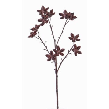 Plastová badyánová větvička DELANO s plody, hnědá, 60cm