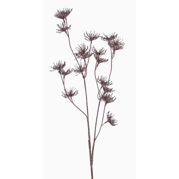 Umělá divoká mrkev DORIAN, hnědá, 65cm, Ø4cm Umělá divoká mrkev DORIAN, hnědá, 65cm, Ø4cm