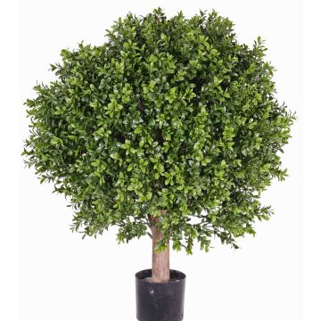 Umělý zimostráz TOM, přírodní kmen, pro interiér i exteriér, 65cm, Ø50cm Umělý zimostráz TOM, přírodní kmen, pro interiér i exteriér, 65cm, Ø50cm