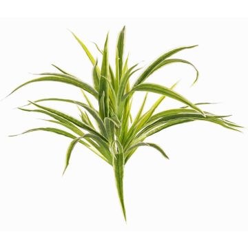 Umělá zelená lilie TASNIN na tyči, zelenobílá, 35cm, Ø40cm Umělá zelená lilie TASNIN na tyči, zelenobílá, 35cm, Ø40cm