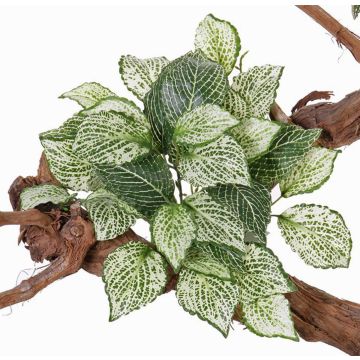 Umělá mozaiková rostlina MOLARA na zápichu, zeleno-bílá, 25cm Umělá mozaiková rostlina MOLARA na zápichu, zeleno-bílá, 25cm