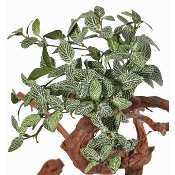 Umělá fitónie NIKLAUS, zápich, nehořlavá, zeleno-bílá, 30cm Umělá fitónie NIKLAUS, zápich, nehořlavá, zeleno-bílá, 30cm