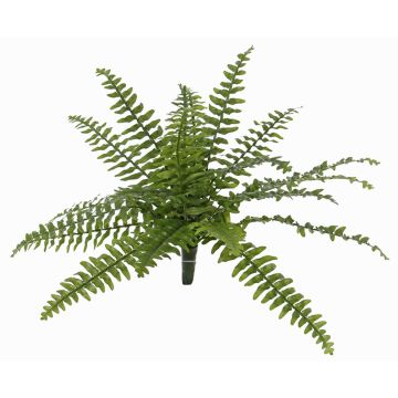 Umělá bostonská kapradina SASCHA na zápichu, pro interiér i exteriér, zelená, 25cm, Ø50cm Umělá bostonská kapradina SASCHA na zápichu, pro interiér i exteriér, zelená, 25cm, Ø50cm